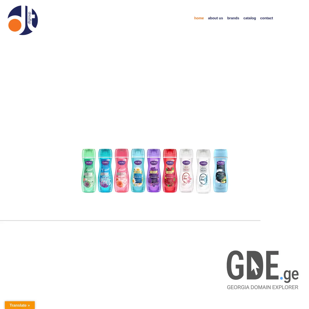 Screenshot of the site dtgroup.ge at 2025-12-07