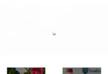 Screenshot of dualeco.ge