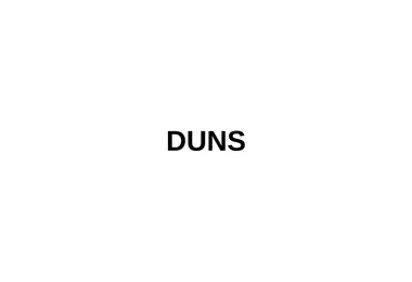 duns.ge-ის ეკრანის სურათი
