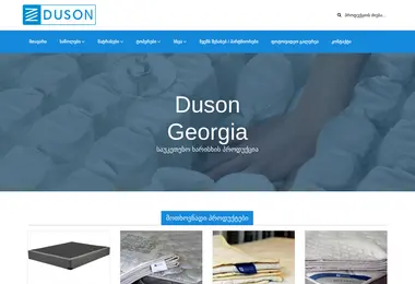 Screenshot of duson.ge