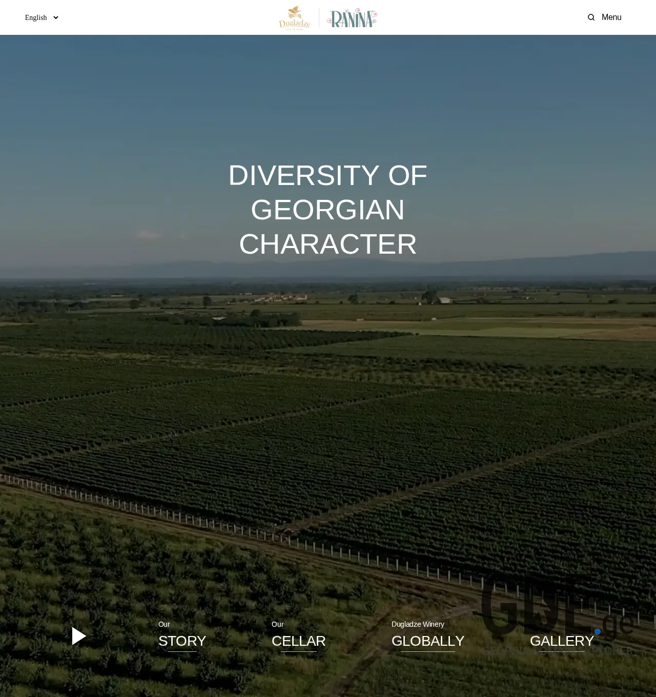 Screenshot of the site dwc.ge at 2025-12-02