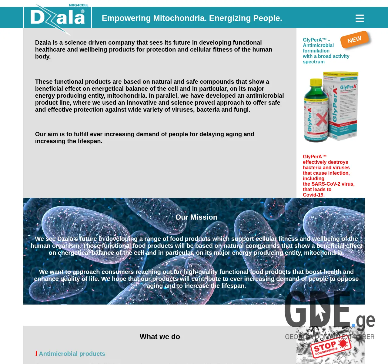 Screenshot of the site dzala.ge at 2025-11-26