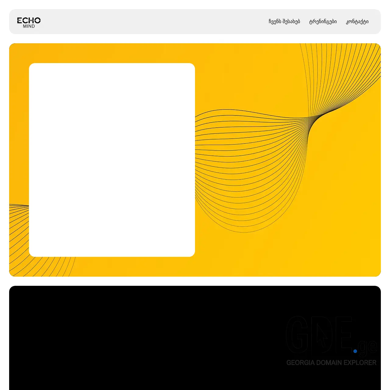 Screenshot of the site echomind.ge at 2026-01-13