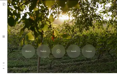 Screenshot of eclipsellc.ge