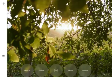 Preview from 07.12.2025