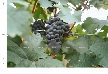 eclipsewine.ge-ის ეკრანის სურათი