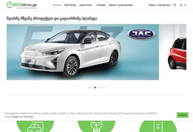 Скриншот ecodrive.ge