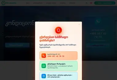 Screenshot of ecohome.ge