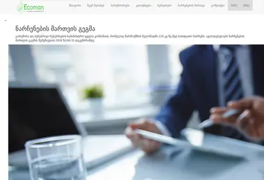 Скриншот ecoman.ge