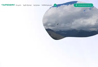 Screenshot of ecometer.org.ge