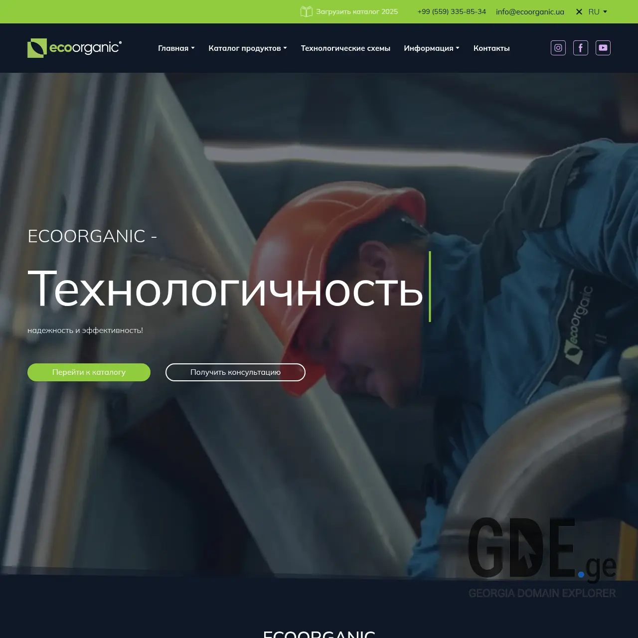 Screenshot of the site ecoorganic.ge at 2025-12-07
