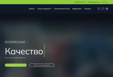 Скриншот ecoorganic.ge