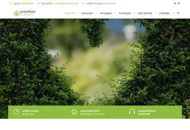 Скриншот ecotaxation.ge