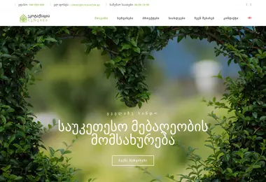 Screenshot of ecotaxation.ge