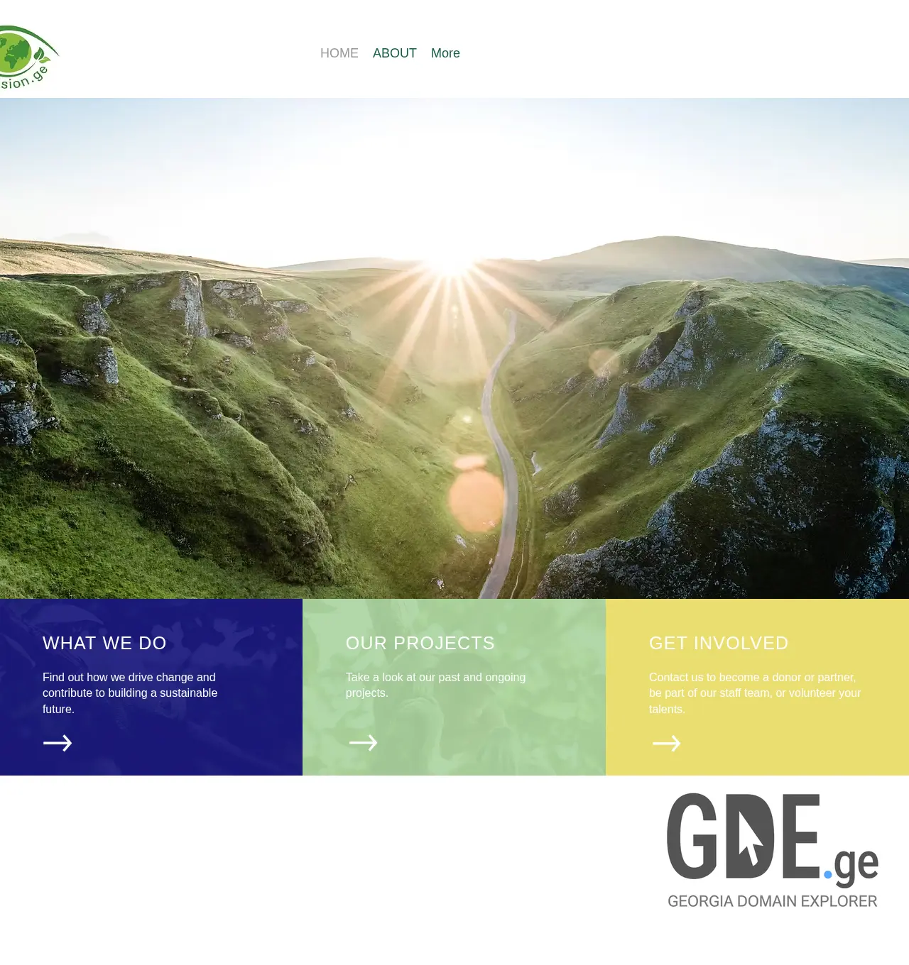 Screenshot of the site ecovision.ge at 2025-11-29