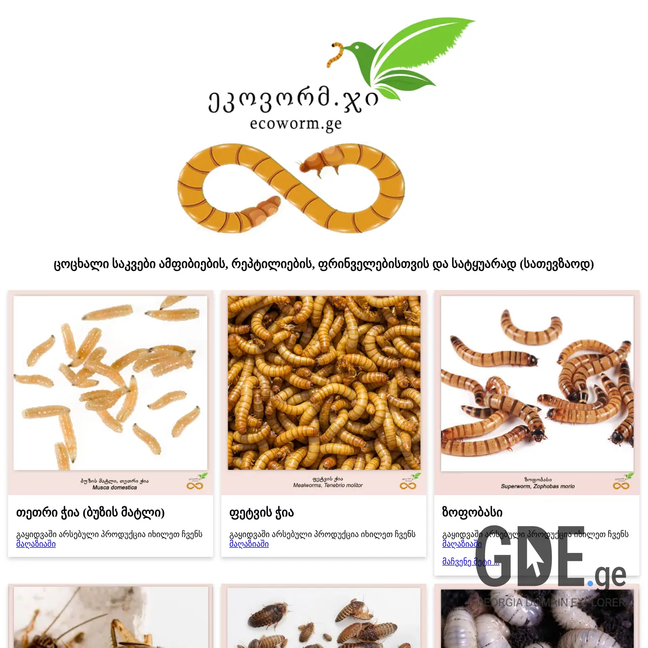Screenshot of the site ecoworm.ge at 2025-12-07