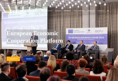 Скриншот eecp.ge