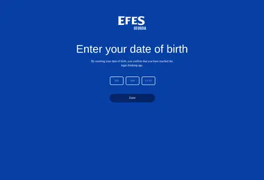 Скриншот efes.ge