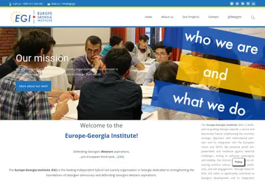 egi.ge-ის ეკრანის სურათი