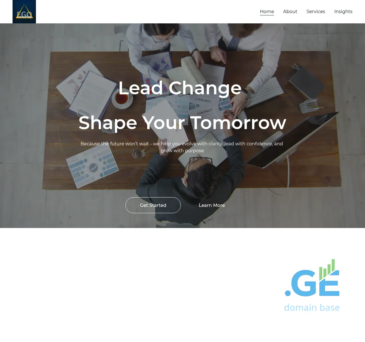 Screenshot of the site egoconsulting.ge at 2025-11-10