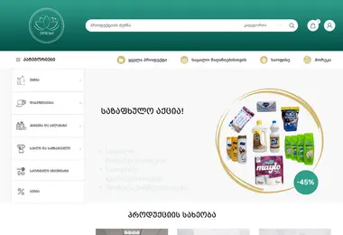 Screenshot of ekolari.ge