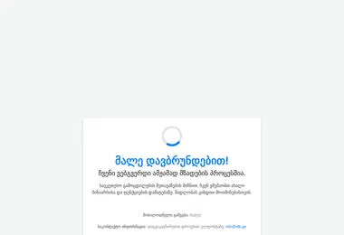 Скриншот elb.ge