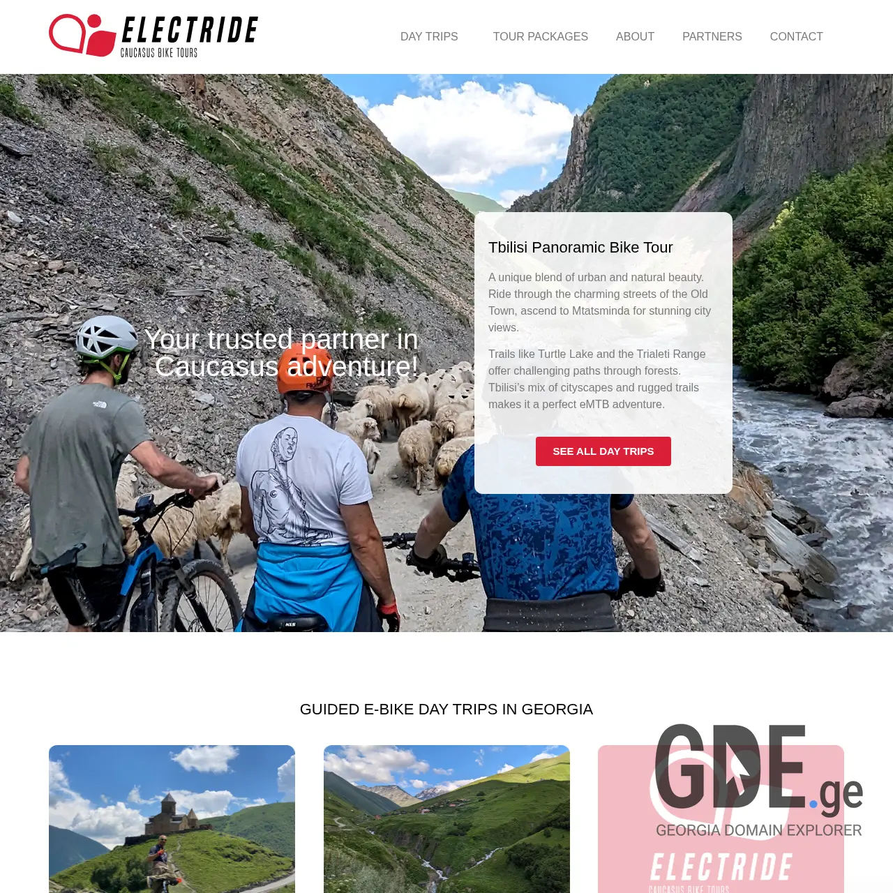 Screenshot of the site electride.ge at 2025-12-07