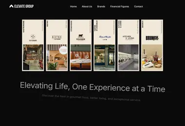 Screenshot of elevategroup.ge