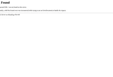 Screenshot of elitaudit.ge