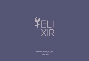 elixirstudio.ge-ის ეკრანის სურათი