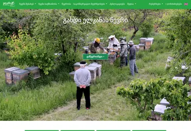 Screenshot of elkana.org.ge