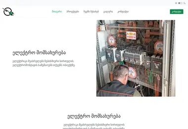 Screenshot of elservices.ge