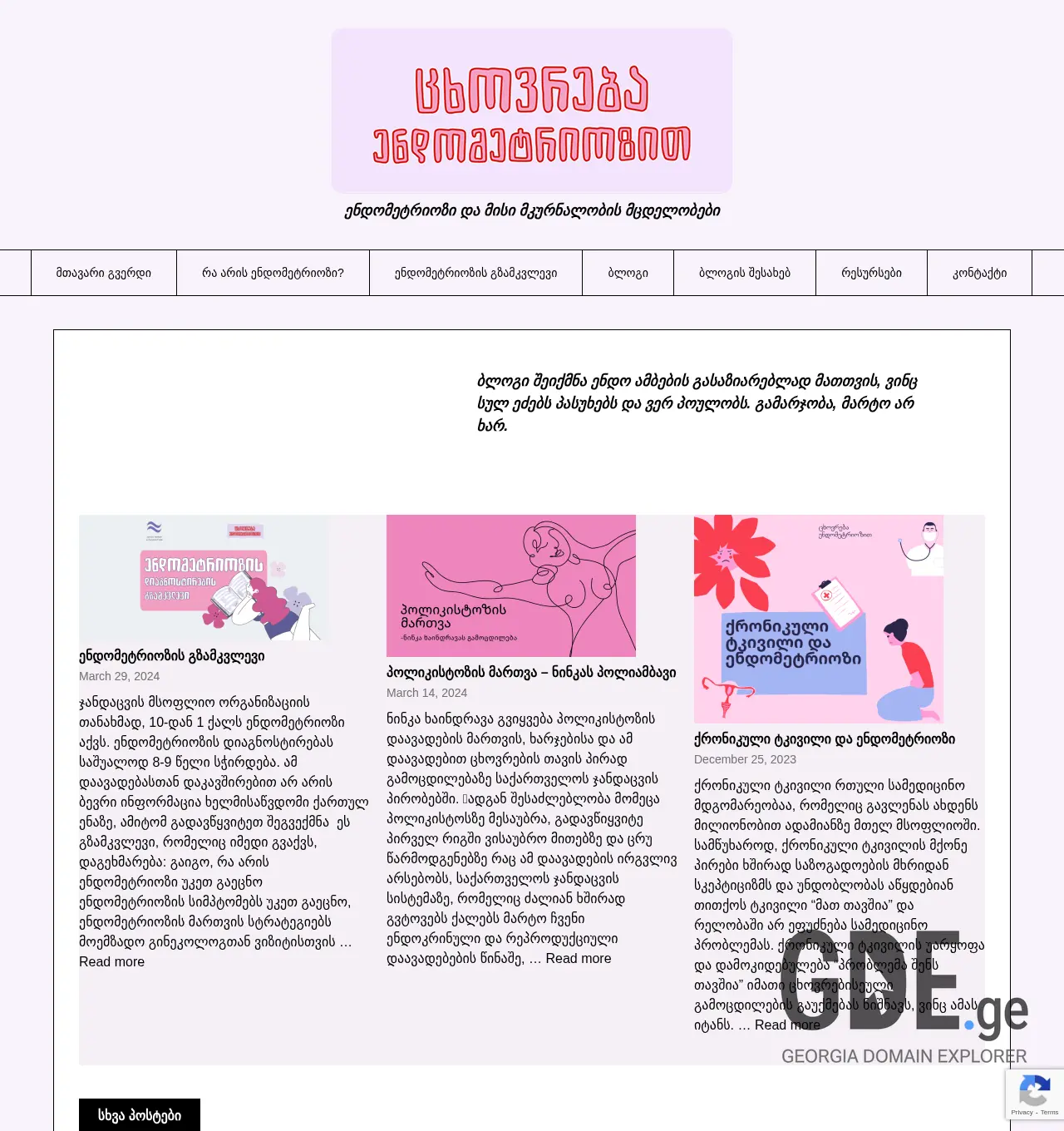 Screenshot of the site endo.ge at 2025-11-30