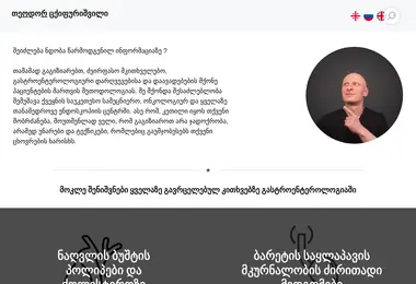 endogastro.ge-ის ეკრანის სურათი