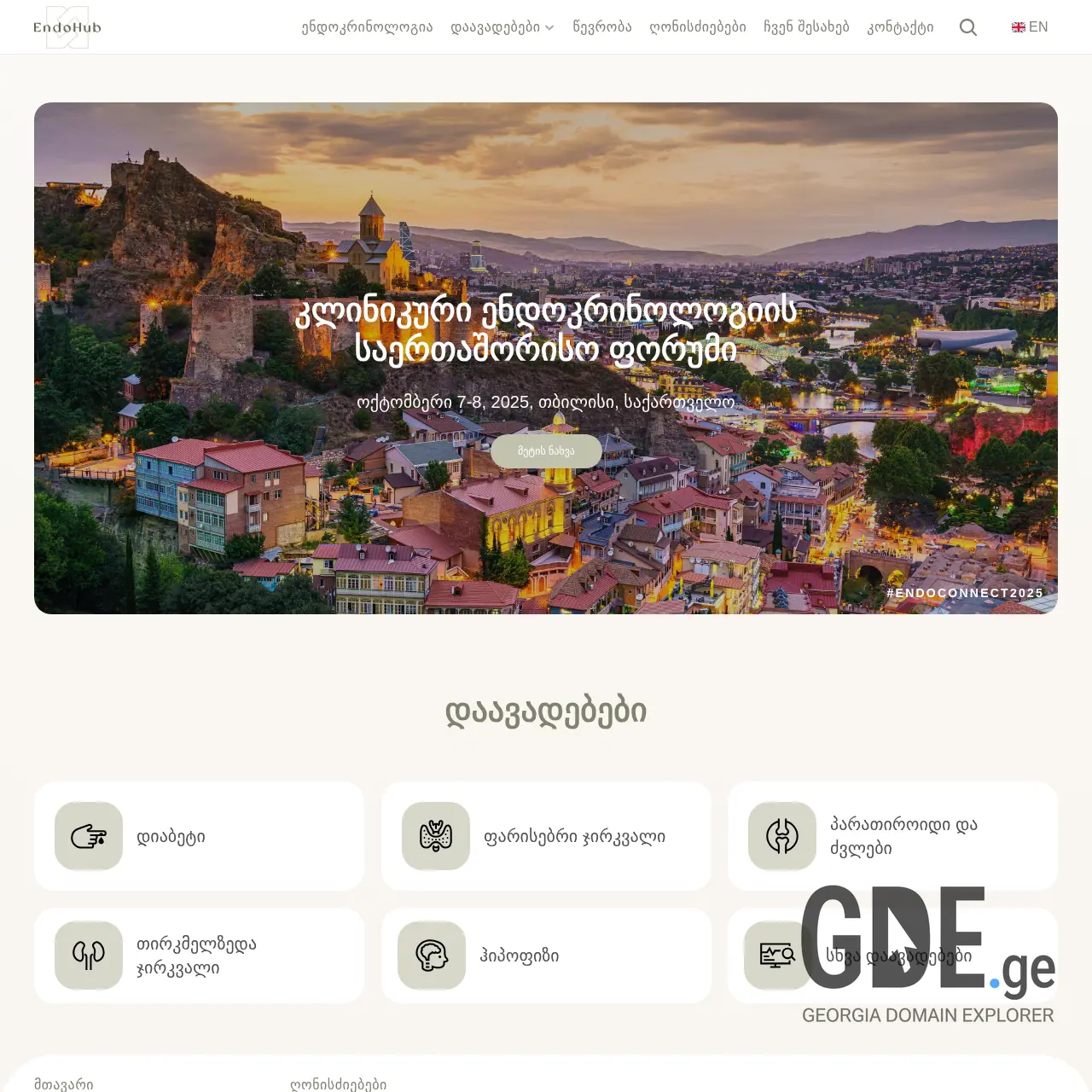 Screenshot of the site endohub.ge at 2025-12-07