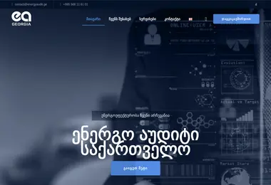 Screenshot of energyaudit.ge