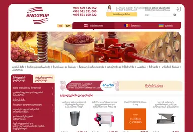 Screenshot of enogrup.ge