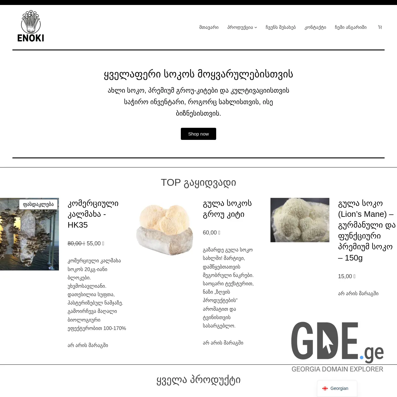 Screenshot of the site enoki.ge at 2025-12-15