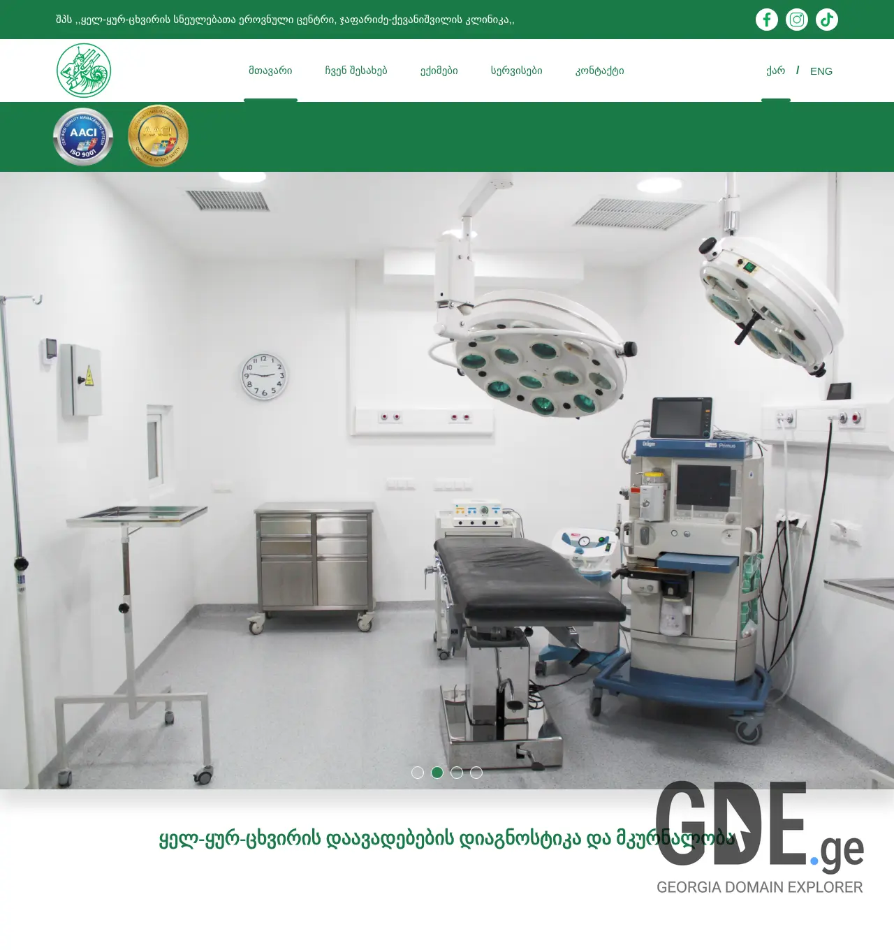 Screenshot of the site entclinic.ge at 2025-12-06