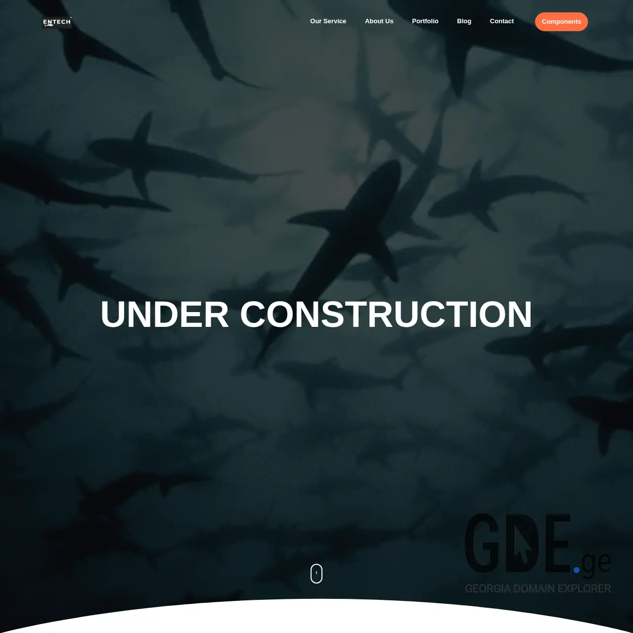 Screenshot of the site entech.ge at 2025-12-07