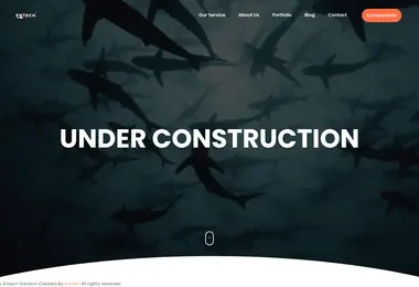 Screenshot of entech.ge