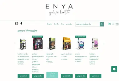 enya.ge-ის ეკრანის სურათი