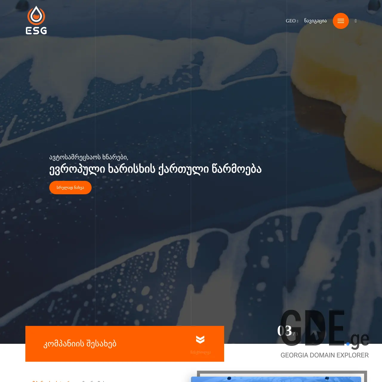 Screenshot of the site esggeorgia.ge at 2026-02-27