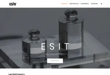 Screenshot of esit.com.ge