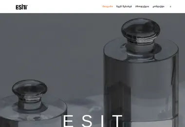Screenshot of esit.com.ge