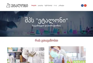 Screenshot of etalonilab.ge