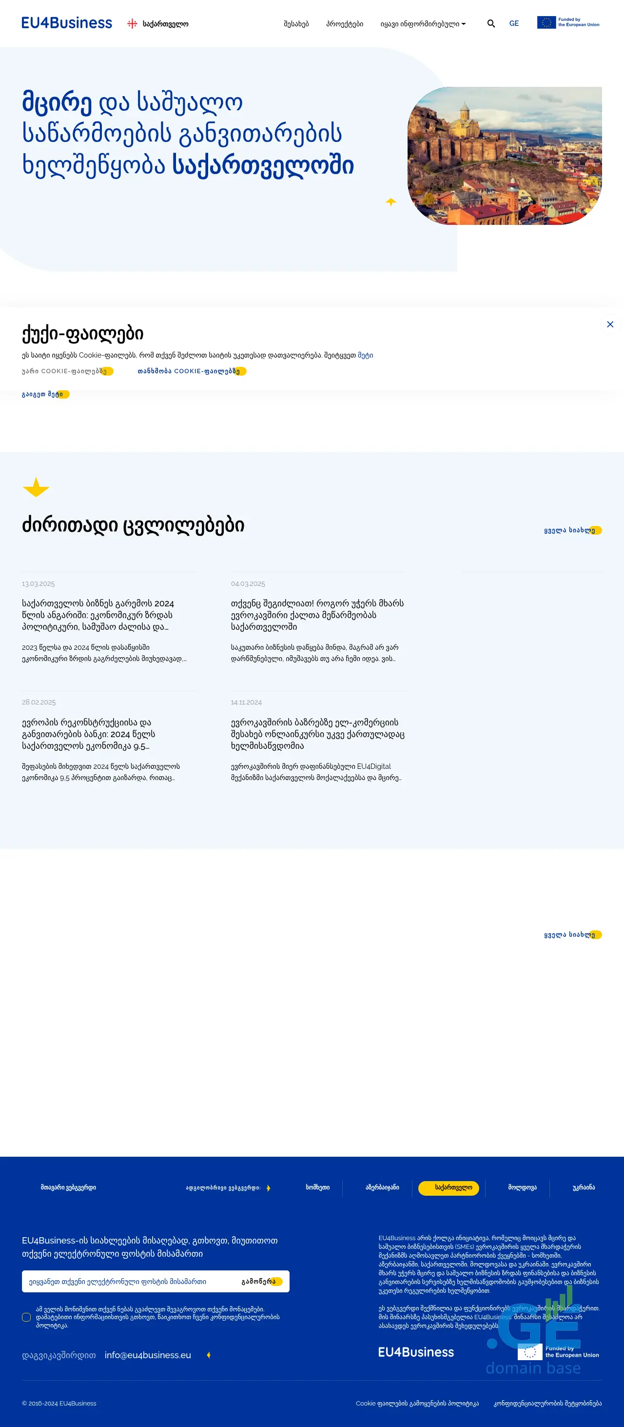 Screenshot of the site eu4business.ge
