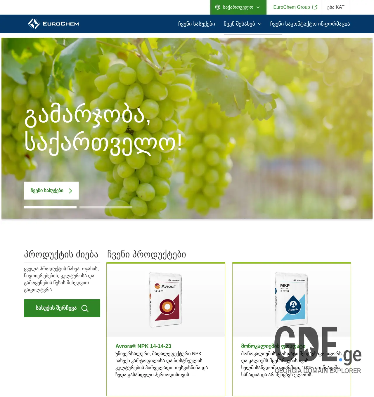 Screenshot of the site eurochem.ge at 2025-12-06