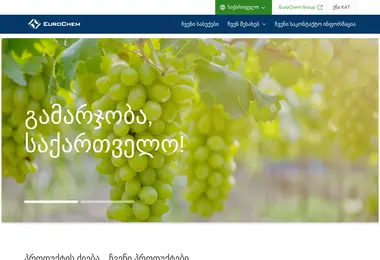 Screenshot of eurochem.ge