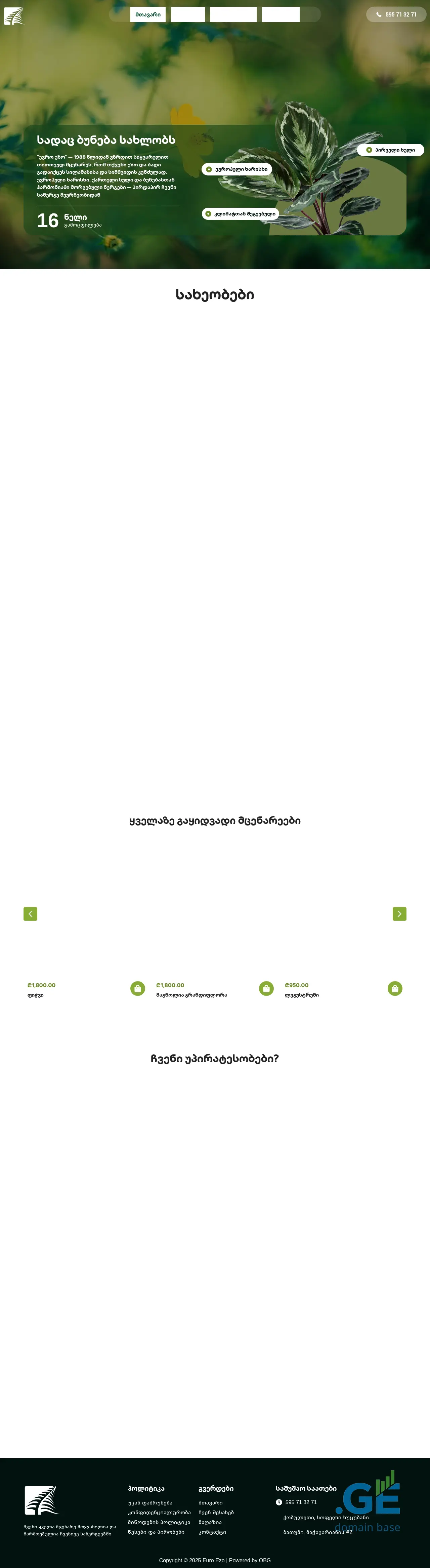 Screenshot of the site euroezo.ge